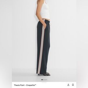 NWOT aritzia thesis pant